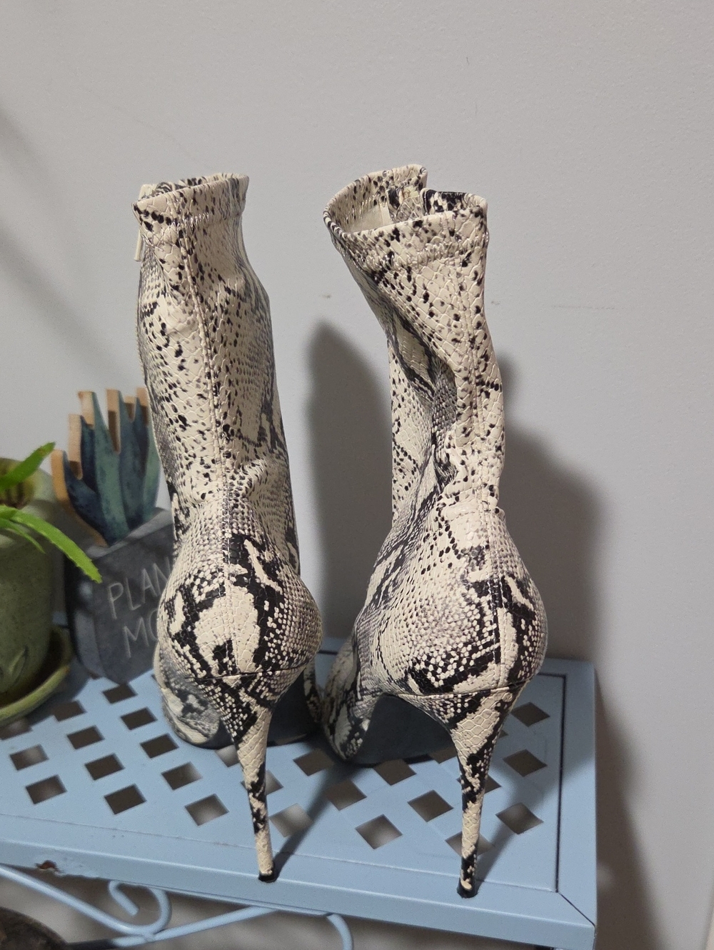 Steve Madden 9 Faux Snake Boots - Picture 4 of 6